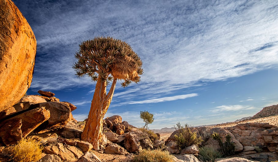 SANParks and Conservation Tourism