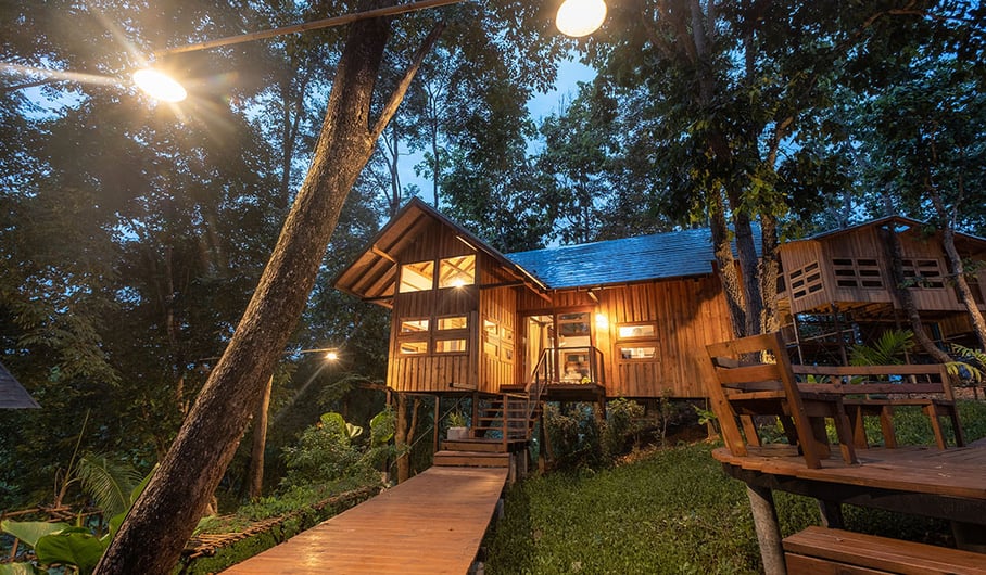 Why a Postgraduate Diploma in Hospitality Management is the Smart Move